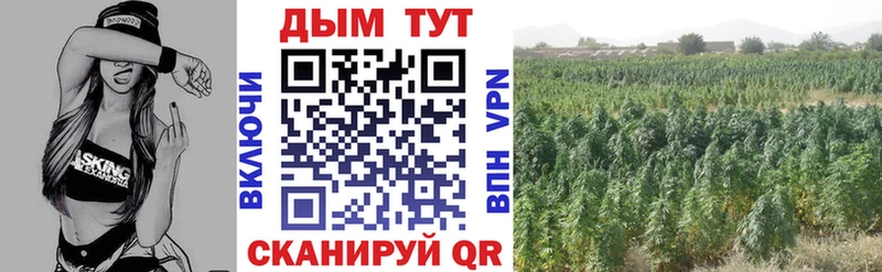 Конопля планчик  Купить закладки  Дыгулыбгей 